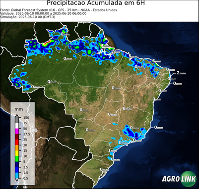 6 horas