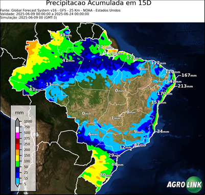 15 dias