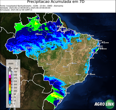 7 dias