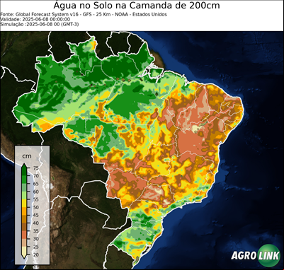 24 horas