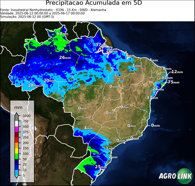 5 dias