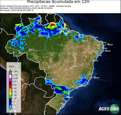 12 horas