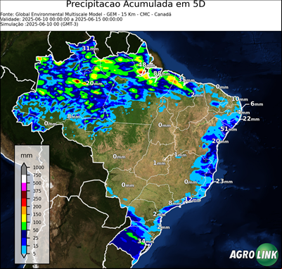5 dias