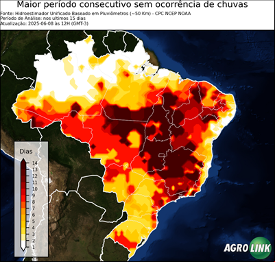 15 dias